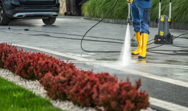 Best Local Pressure Washing Services  in Rugby, ND